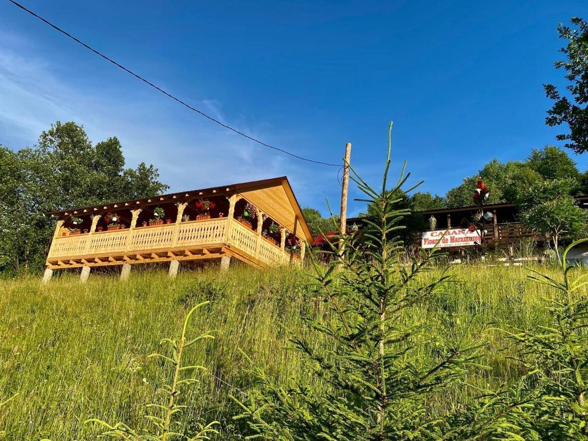 Floare De Maramures 2 Sighetu Marmaţiei Buitenkant foto