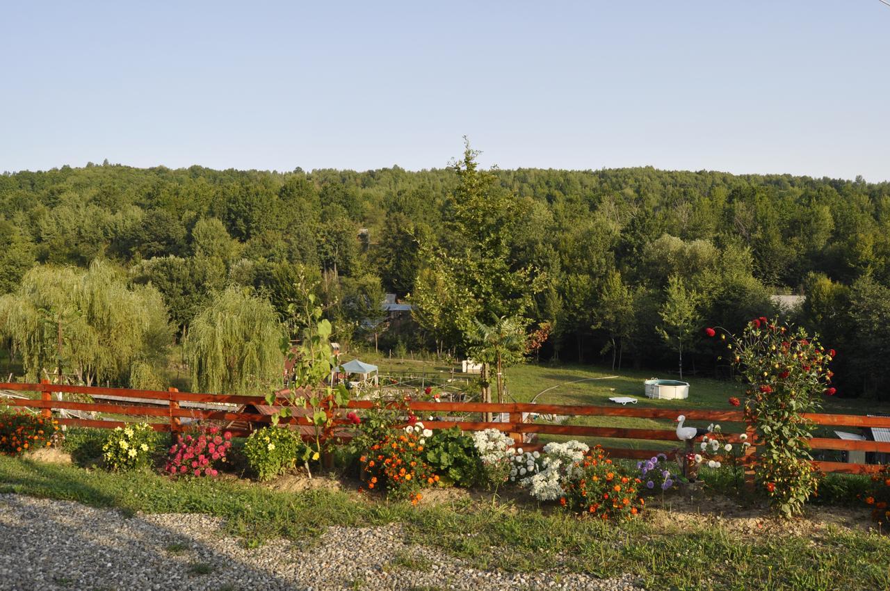 Floare De Maramures 2 Sighetu Marmaţiei Buitenkant foto