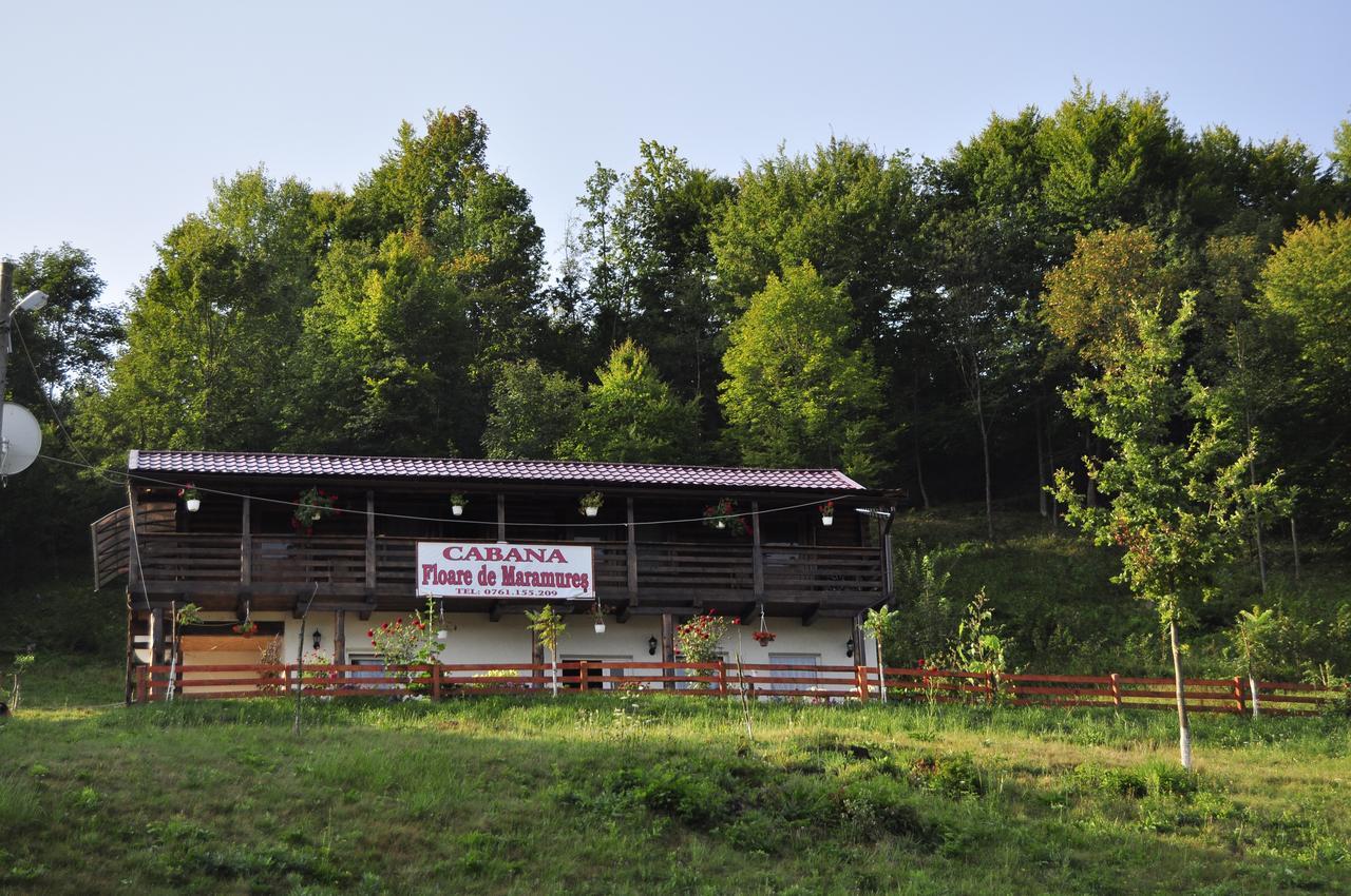Floare De Maramures 2 Sighetu Marmaţiei Buitenkant foto