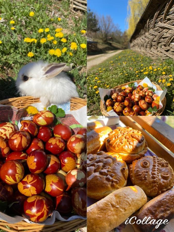 Floare De Maramures 2 Sighetu Marmaţiei Buitenkant foto